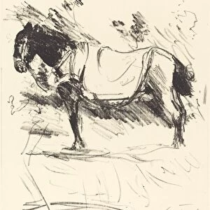 Reitpferd (Riding-Horse), 1916. Creator: Lovis Corinth