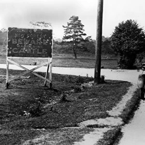 Road sign in New Forest, UK 1924. Creator: Unknown