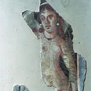 Roman wall-painting with a mythological subject