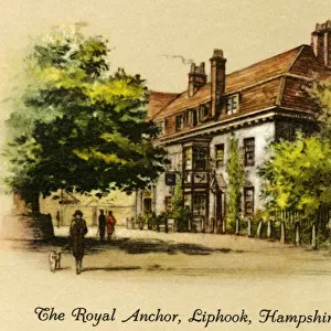 Hampshire Mounted Print Collection: Liphook
