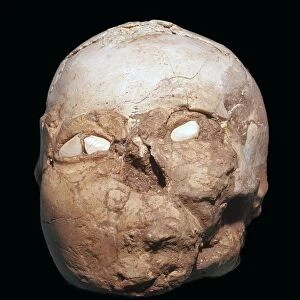 Skull from Jericho, modelled with plaster and shells