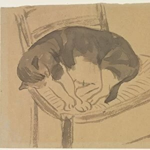 Sleeping Cat, first third 1900s. Creator: Jane Poupelet (French, 1878-1932)