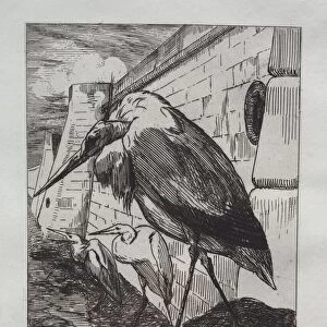 The Storks, 1865. Creator: Felix Bracquemond (French, 1833-1914);Cadart & Luquet, Paris