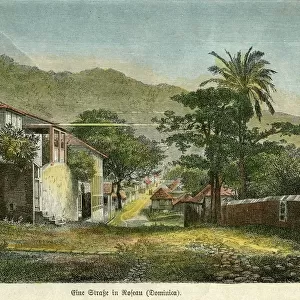 A street in Roseau, Dominica, c1880. Artist: Pann