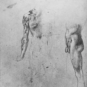 Studies of a Nude Man Seen from the Back and from the Side, c1480 (1945). Artist: Leonardo da Vinci