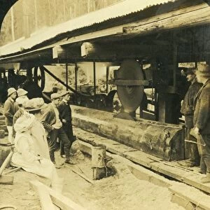 The Timber Industry, Warburton, Victoria, Australia, 1909. Creator: George Rose