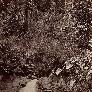 Tropical Scenery, Cascade, Limon River, 1871. Creator: John Moran