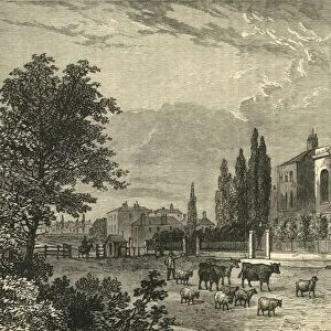 Turnpike in the Hampstead Road, and St. Jamess Church, in 1820, (c1876). Creator: Unknown