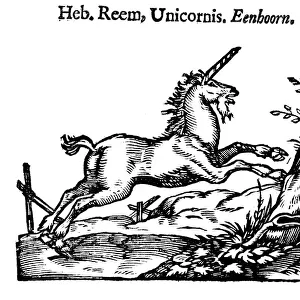 Unicorn, 1644