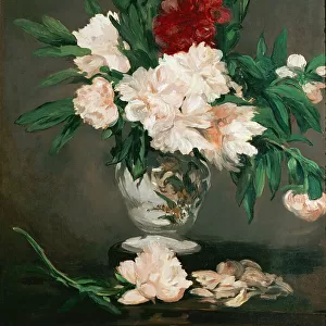 Impressionist art Canvas Print Collection: Édouard Manet
