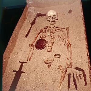 Viking Burial of Man with Axe, Spear, Sword, Knives, Shield and Belt Buckle, 9th-10th century