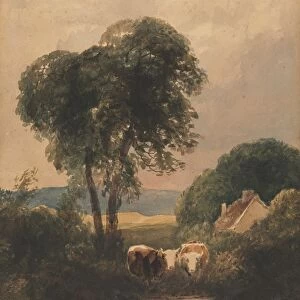 Welsh Landscape with Cattle. Creator: Peter De Wint (British, 1784-1849)