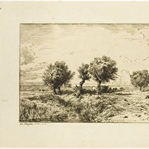 Willows in a Landscape, 1844. Creator: Charles Emile Jacque