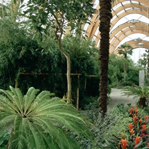 Yorkshire Collection: Glasshouses