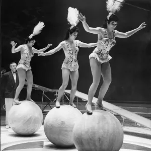 Circus Performers Print at Belle Vue, Manchester 1958 Circus Performers Print at Belle Vue, Manchester 1958