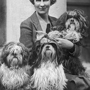 Lady Brownrigg with her Shih-Tzus