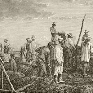 Digging For Diamonds In South Africa. From The Book Chips From The Earths Crust Published 1894