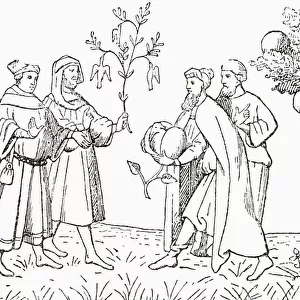 Friar Oderic Of Pordenone Holding A Branch From A Tree On Which Birds Grow, Being Shown In Turn By The Local King, The Lamb Tree Of Tartary, Showing A Lamb Emerging. The Vegetable Lamb Of Tartary, Legendary Zoophyte Of Central Asia, Once Believed To Grow Sheep As Its Fruit. The Sheep Were Connected To The Plant By An Umbilical Cord And Grazed The Land Around The Plant. When All The Plants Were Gone, Both The Plant And Sheep Died. From The Strand Magazine Published 1897. From The Strand Magazine Published 1897