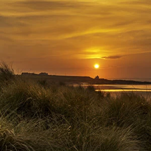 Golden Sun Setting In An Orange Sky Along The Coast With Bamburgh Castle In The Distance; Bamburgh, Northumberland, England