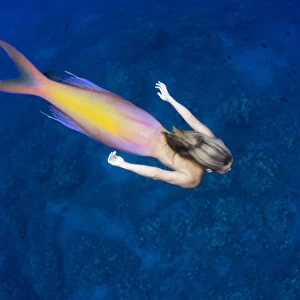 Mermaid swimming in ocean