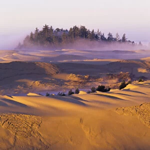 Morning Sun Warms The Dunes; Lakeside, Oregon, United States Of America