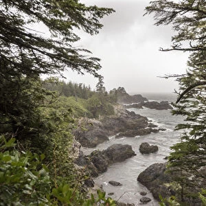 Rugged Coastline On Wild Pacific Trail; Ucluelet, British Columbia, Canada