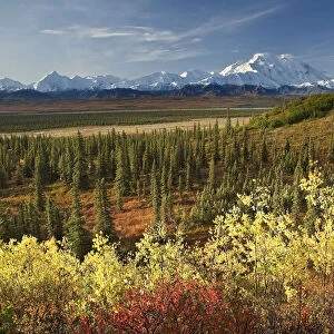 Scenic View Of Mt. Mckinley And The Alaska Range With Taiga And Fall Colors In The Foreground Near Wonder Lake In Denali National Park, Alaska