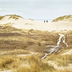 Two people walking to the sea in a wet dune valley, Schoorlse Duinen, Noord-Holland