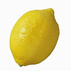 Lemon, Citrus limon, Cut out on white of one whole lemon with water dropets