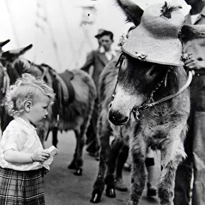 18 month old Evelyn McAdam with Molly the donkey on the South Bank, London