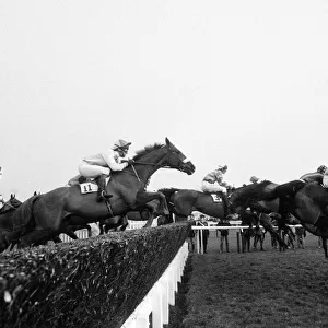 Action shot at beginning of the 1984 Cheltenham Gold Cup 14th March 1984