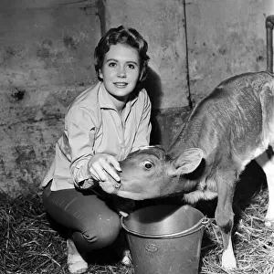Actress Juliet Mills has been brought up on her fathers farm on the Kent / Sussex border