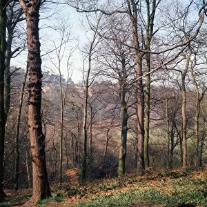 Alderley Edge, Cheshire. April 1974