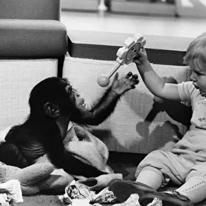 Animals - Children with Monkeys. Sharing... Benje plays with his new friend Jemma Heath