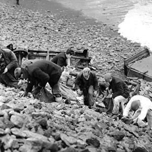 An army of sea coal men on the tip at Cambois, Northumberland during a fuel shortage in