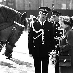 Bow for the Queen, a police horse shows his respect for Queen Elizabeth II as she