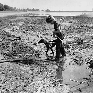 A boy and his dog at Edgbaston Reservoir
