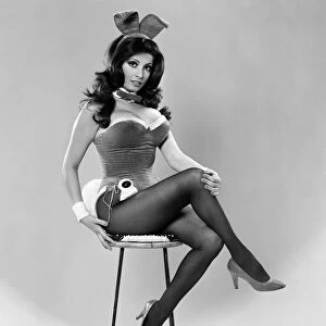Bunny Girl, Katy Aden from Arabia, 29th March 1972