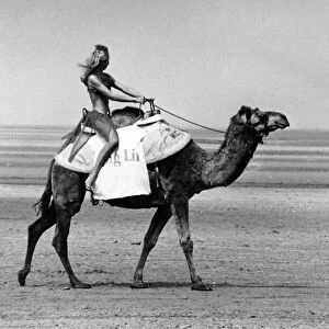 Camel Racing to be held on the beaches at Southport, Sefton, Merseyside, this weekend