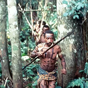 Cameroon warriors tribesmen with spears Baka hunters on trail of monkeys in rain forest