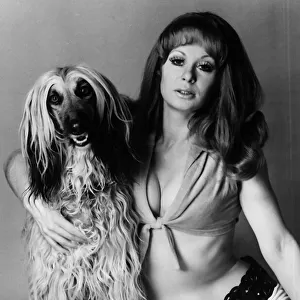 Carol Cleveland actress with Afghan Hound Brandy 1971