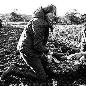 These children are potato picking or spud bashing as some of us like to call it