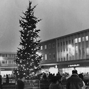 The Christmas scene in Mell Square, Solihull, with the illuminated tree dominating
