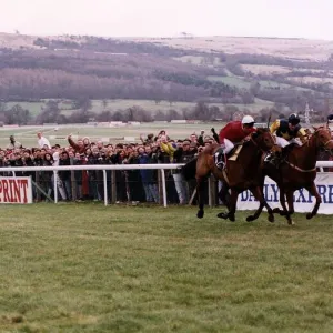 Cool Ground Wins The 1992 Cheltenham Gold Cup In A Driving Finish From The French Horse