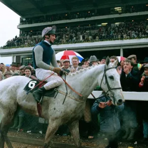 Crowds cheer jockey Simon Sherwood after he won the Gold Cup at Cheltenham on famous