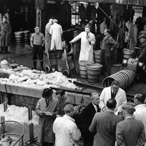 The days catch being auction at Hulls Fish Dock at St Andrews Dock. Circa 1956