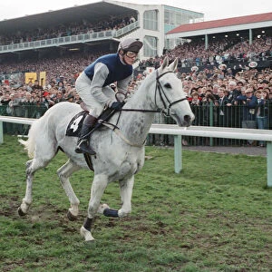Desert Orchid and Richard Dunwoody finish 3rd in the 1990 Cheltenham Gold Cup