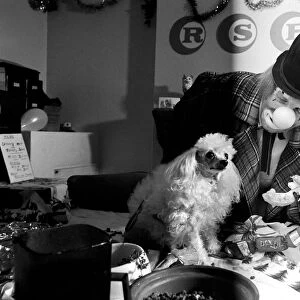 Dogs Christmas Party. Hobo plays host to the doggy guests enjoying a menu of