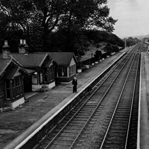 A general view of the disused Lintz Green Railway Station on the Newcastle to Consett
