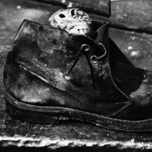 October Collection: 5 Oct 1972